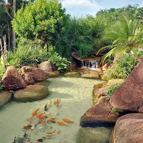 Areia Natural para Lago em SP